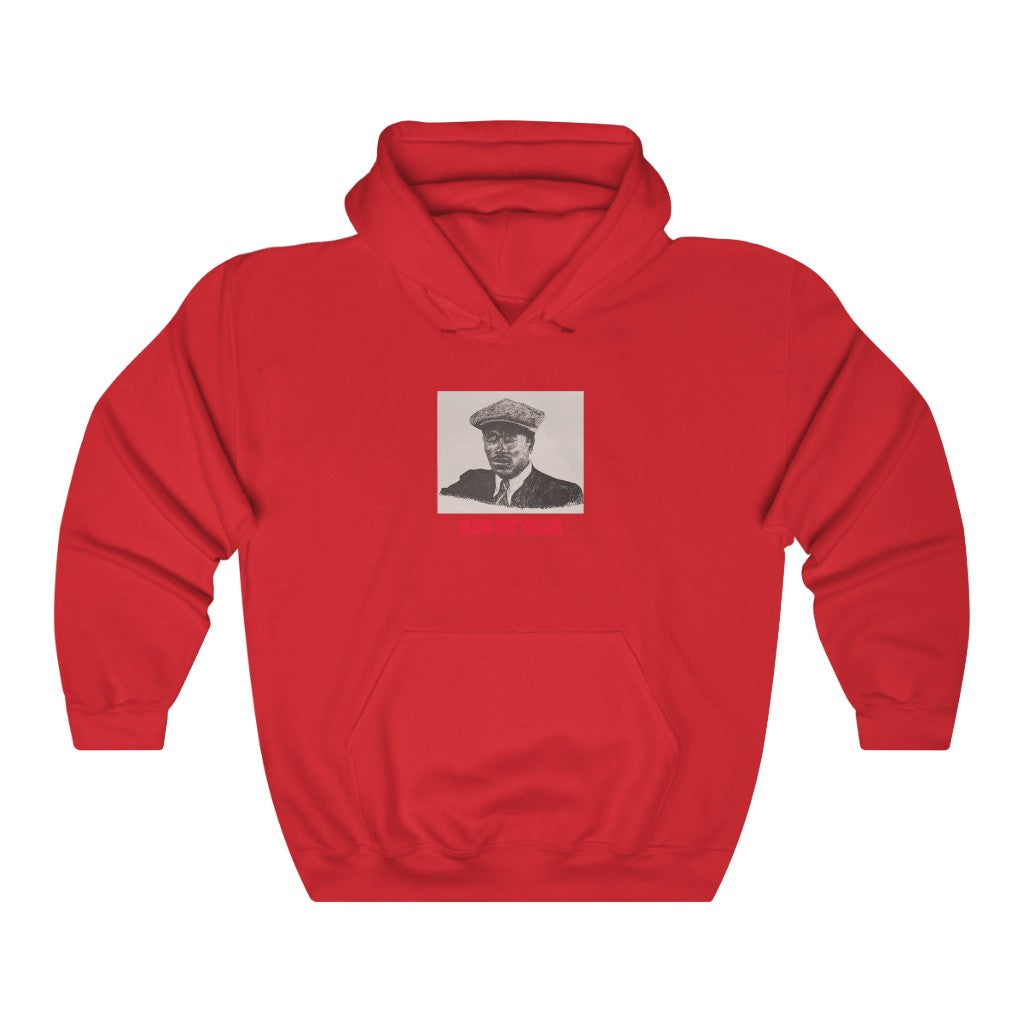 Blind Boy Fuller - Unisex Heavy Blend™ Hooded Sweatshirt