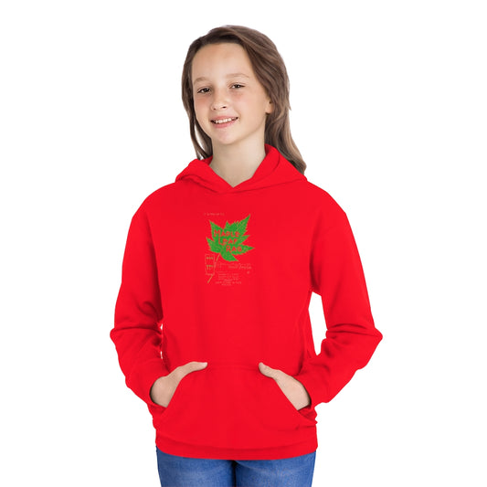 Scott Joplin - Youth Fleece Hoodie